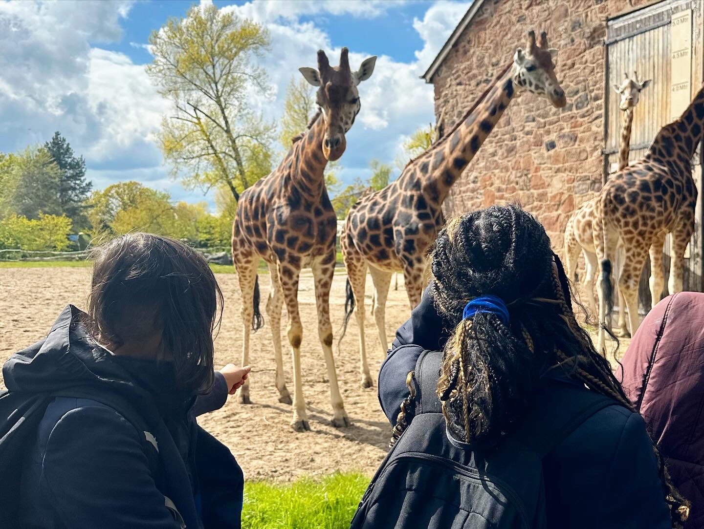 A Wild Day at Chester Zoo